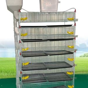 Cages à Cailles de Type H pour Volaille à Longue Durée de Vie en Vente - Product Image 1