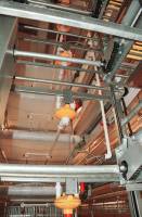 Nouveau Système d'élevage avicole entièrement automatique, Cages en batterie de type H en tôle galvanisée pour poulets pondeurs, Marque Zhuoyi, Garantie 1 an, pour l'élevage de poulets pondeurs