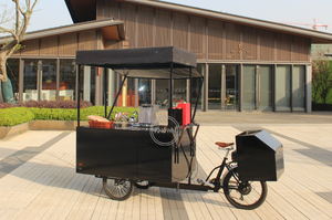 Triciclo eléctrico para congelador, carrito de venta al por menor de helados, frutas y café, para bebidas frías, bicicleta de carga eléctrica con paraguas - Product Image 2