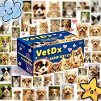 Kits de Prueba Rápida de Alta Sensibilidad y Especificidad para la Leucemia Felina (FeLV), Inmunodeficiencia Felina (FIV) y Giardia (GIA) en Gatos