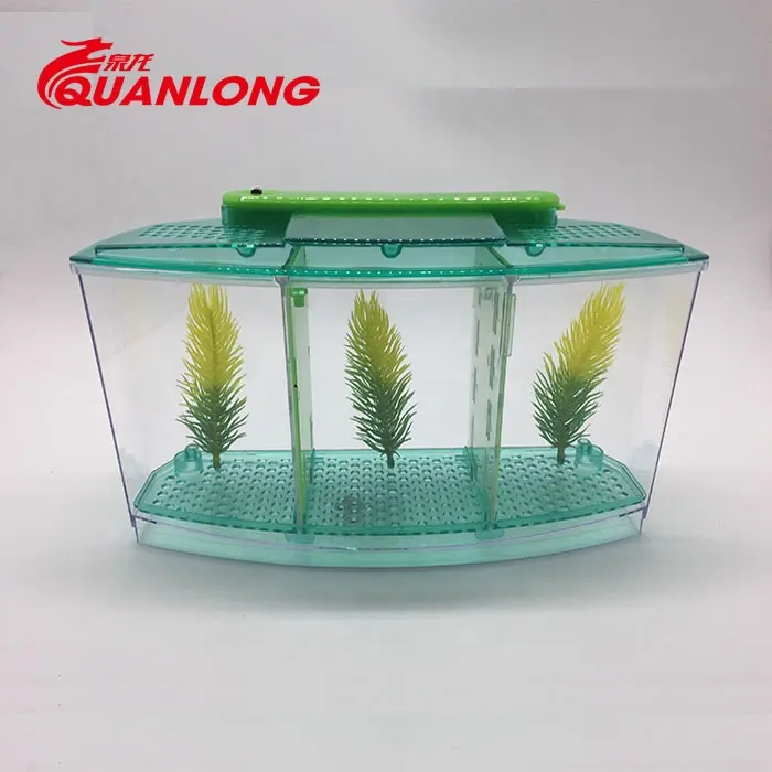 Quanlong Acrylic bể cá Betta bể cá hộp nuôi cá thiết kế bể cá nhỏ