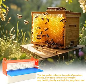 Piège à <span class=keywords><strong>pollen</strong></span> pour ruche, collecteur de <span class=keywords><strong>pollen</strong></span> en plastique, matériel d'apiculture, collecteur de <span class=keywords><strong>pollen</strong></span> écologique, fournitures pour apiculteurs - Product Image 3