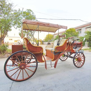 <b>Double</b>-row Luxury Electric Sightseeing Carriage/top Quality Factory Direct Sightseeing Carriage - Product Image 3