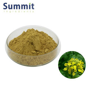 20:1マスタードエキスパウダーブラシカアルバエキスパウダーマスタードエキス - Product Image 4