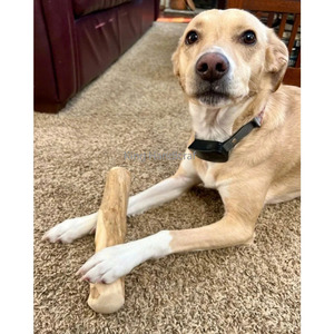 ของเล่นแท่งไม้กาแฟธรรมชาติสำหรับสุนัข ทำด้วยมือ ทนทาน ปลอดภัยต่อสัตว์เลี้ยง ราคาถูกจากเวียดนาม - Product Image 6