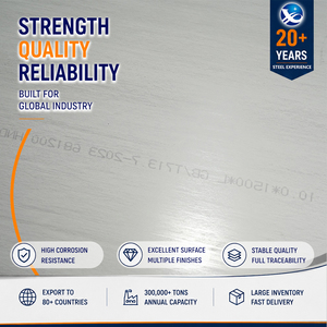 ราคาโรงงาน แผ่นเหล็กสแตนเลส ASTM A240 รีดร้อน หนา 2.0 มม. ขนาด 1219 มม. ผิว 2D สำหรับอุปกรณ์การแพทย์ - Product Image 1