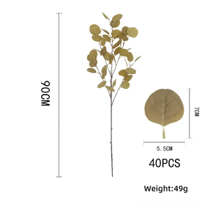 Bảo Quản Bạch Đàn Lá Táo Dài Nhân Tạo Bạch Đàn Gốc Nhỏ Bạc Đô La Lá Bạch Đàn Cho Đám Cưới Nhà Trang Trí Nội Thất - Product Image 6