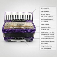 Accordéon Piano 37 Touches 96 Basses Violet avec Panneau Métallique Sculpté et Commutateurs de Régistre de Tonalité pour Joueurs Adultes - Vente en Gros