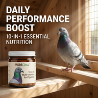 Complément alimentaire professionnel 5-en-1 pour la santé des pigeons - Mélange multivitaminé et électrolytique avec enzymes digestives - Vente en gros et étiquetage privé
