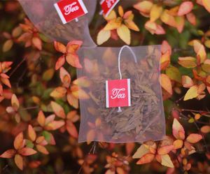 Popular Pla Tea <b>Bags</b> Empty Pyramid Package for Herbal Tea - Product Image 3