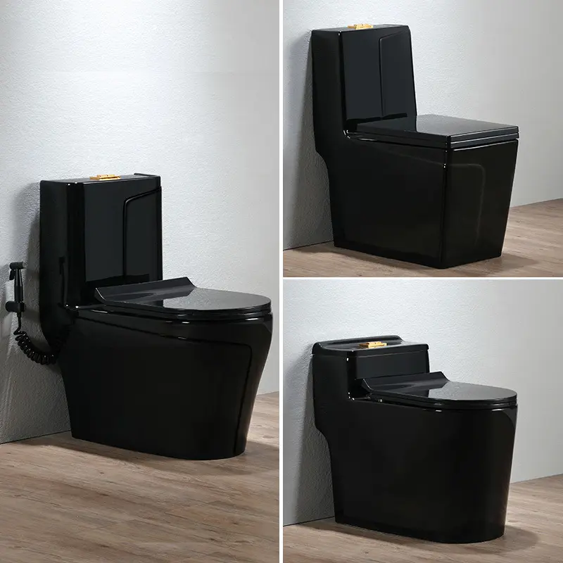 Nouveau Sanitaire plaqué wc céramique une pièce de luxe debout au sol toilette de couleur noire