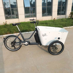 <span class=keywords><strong>Vélo</strong></span> <span class=keywords><strong>Cargo</strong></span> électrique à trois roues à Suspension complète, à entraînement central, à vendre - Product Image 2