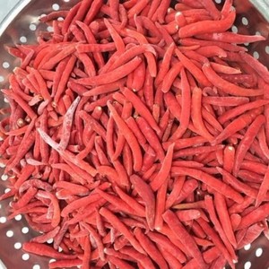 Norme d'exportation de piment congelé IQF du Vietnam de qualité supérieure d'épices et d'herbes simples directement de la ferme - Product Image 3