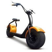 Citycoco — trottinette électrique coc, scooter électrique, 1500/2000/3000w
