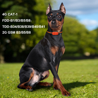 Traceur GPS pour chien GSM étanche IP67 avec connexion OEM du fabricant, suivi en temps réel Bluetooth/WiFi, autonomie de la batterie >20 heures