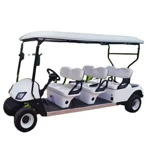 Carts Electric Kits Sale Motor Heater Wheels Seat Motors De Body Club Car Battery Suportes PARA Umbrellas Golfe AC 6 Golf Cart