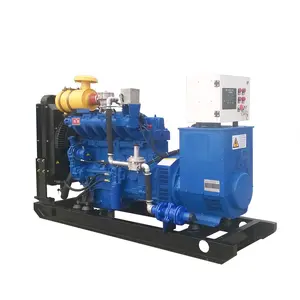 Chp Gas Generator Green Power Liquid Cooled AC 3 Phase 400V 230V 380V Biogas 15kW 20kW 30kW 50kW 300kw CHP Generator Gas