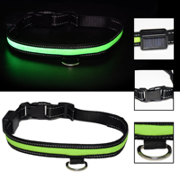 Kalung Anjing Nilon Flash Pet dengan Fungsi Ganda USB, Tali Pengikat Model Leash Charm Harness untuk Jalan-Jalan Musim Dingin, Acara Hewan Peliharaan, Aksesoris Hewan Peliharaan Nilon Modis