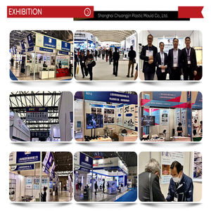 कस्टम ओम स्प्रे बंदूक मोल्ड परिशुद्धता इंजेक्शन मोल्डिंग उपकरण औद्योगिक ग्रेड संक्षारण प्रतिरोधी धातु उच्च गुणवत्ता - Product Image 5