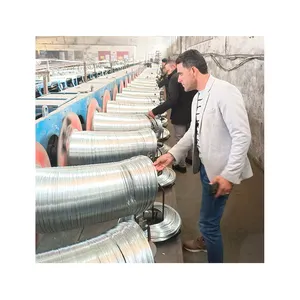 Hebei Shijiazhuang galvanoplastie fil équipement fil d'acier électrique galvanisé machine