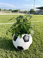 Ensemble de jardinières auto-arrosantes en forme de ballon de football noir et blanc, en plastique PP, avec éléments peints en noir, décoration sphérique pour plantes