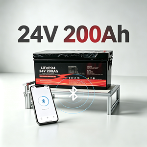 <b>12V</b> 24V 100Ah 200Ah 300Ah 400Ah 500Ah 600Ah 700Ah 800Ah 1000Ah Lifepo4 Lithium <b>Battery</b> for Boat Built-in BMS with - Product Image 1