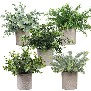 Plantes Bonsaï Artificielles Réalistes Peva Faux Oiseau de Paradis Arbre <span class=keywords><strong>Plante</strong></span> d'intérieur en Pot Palmier Tropical <span class=keywords><strong>Plante</strong></span> <span class=keywords><strong>Canna</strong></span> Artificielle - Product Image 6