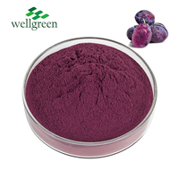 Jus de fruit de pruneau direct d'usine poudre de concentré instantané poudre de fruit de pruneau