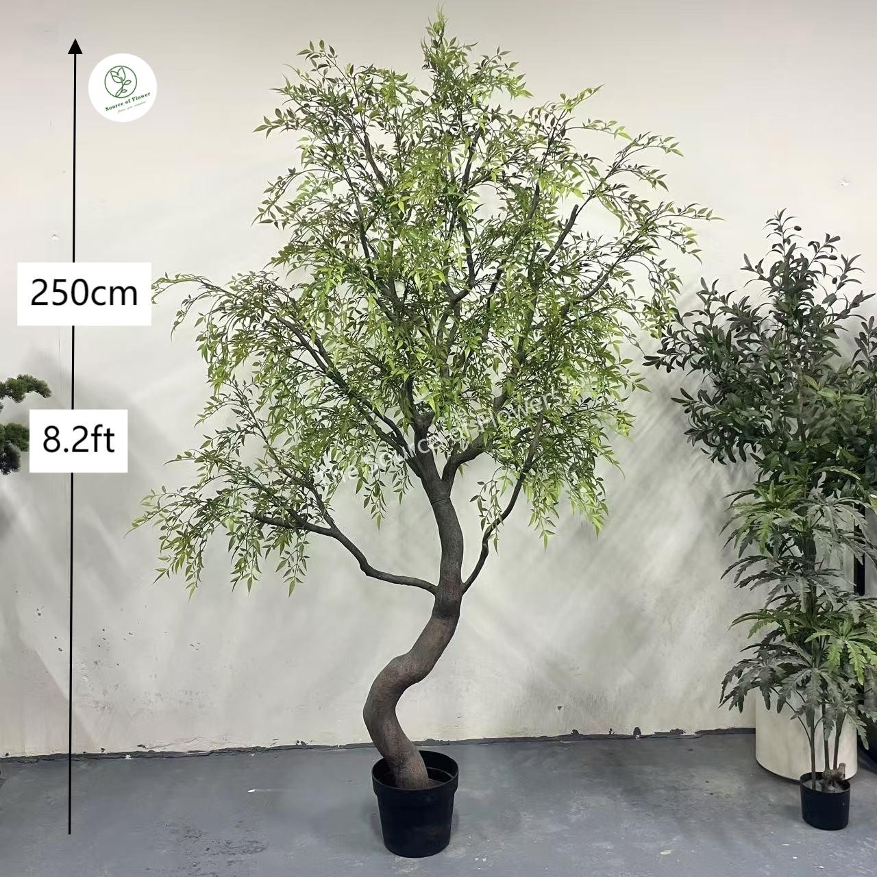nandina verte 2,5 m