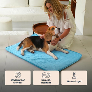 Washable Dog Cooling Mat Pet Training <b>Pad</b> Washable Pee <b>Pad</b> for Pet Puppy Training <b>Bed</b> Ice Silk Summer Comfort Dog Cooling Mat - Product Image 5