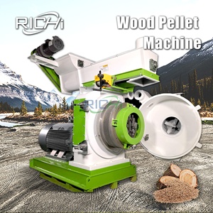 Granulateur environnemental RICHI 4-5 t/h Machine <span class=keywords><strong>de</strong></span> fabrication <span class=keywords><strong>de</strong></span> <span class=keywords><strong>granulés</strong></span> <span class=keywords><strong>de</strong></span> bois à vendre - Product Image 1