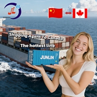 Bon service, livraison porte à porte bon marché, DDP, DDU, CIF et FOB de Chine vers les États-Unis, l'Europe pour les achats en ligne sur Alibaba 1688