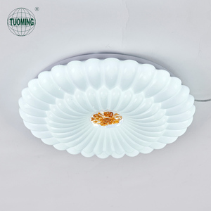 Trẻ em trẻ em phòng ngủ điều khiển từ xa Dimmable Acrylic hiện đại hoa hình dạng dẫn ánh sáng Trần - Product Image 6