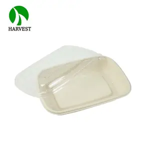 Imballaggio per alimenti polpa di compostabili usa e getta box con coperchio trasparente
