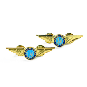 Sản Xuất Biểu Tượng Tùy Chỉnh 3D Men Hình Dạng Cánh Phù Hiệu Trâm Tùy Chỉnh Cánh Ve Áo Pins Logo Cho Phù Hợp Với Nam Giới Phụ Nữ - Product Image 4