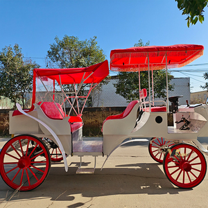 Voiturette électrique classique et sécurisée pour 4-6 passagers, idéale pour les excursions familiales et les visites de parcs - Product Image 2