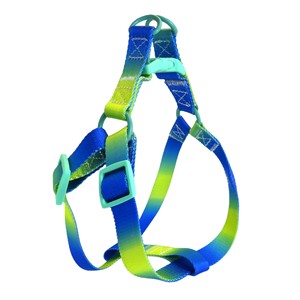 Ensemble Harnais et Laisse de Luxe pour Chien – Gilet Respirant Réfléchissant avec Boutons, Collier et Laisse Personnalisables, Anti-Traction, Accessoires pour Animaux de Compagnie - Product Image 2