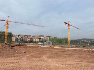 Best Price <strong>China</strong> 8 Ton <strong>Tower</strong> <strong>Crane</strong> Small New <strong>Tower</strong> <strong>Crane</strong> SYT80 - Product Image 5