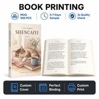 Impression sur Demande de Romans d'Amour sur le Campus Personnalisés en Gros – Couverture Brillante CMYK, Papier Crème 70g/m²