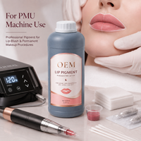 Pigment de maquillage permanent OEM, extrait végétalien pour salon professionnel, encre de microblading, pigment de tatouage pour sourcils