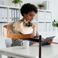 Lit de bureau pour chat - 360 °   Hamac rotatif et réglable en bois avec tapis pour animaux lavable, gain de place pour le bureau à domicile/les bureaux d'ordinateur