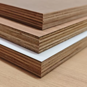 <span class=keywords><strong>Contreplaqué</strong></span> en placage de bouleau écologique de 18 mm pour coffrage et mobilier, filmé, norme E0, qualité supérieure - Product Image 6