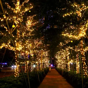אור מחרוזת LED 10M 20M 50M עמיד למים אורות חג המולד מקורה חיצוני לחג המולד קישוטי מסיבת חתונה