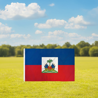 Drapeaux d'Haïti imprimés numériquement en polyester 100% de 3x5 pieds et articles promotionnels pour drapeaux de pays promotionnels en gros