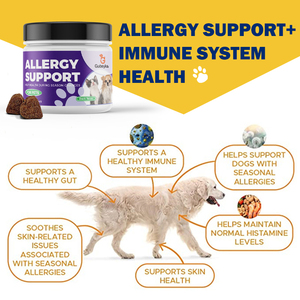 Alivio para Alergias y Picazón en la Piel de Perros, Tratamiento Inmunológico Antipicazón para Perros, Alivio para Picazón y Molestias, Probióticos, Vitaminas, Alergias a la Piel y al Pelaje - Product Image 2