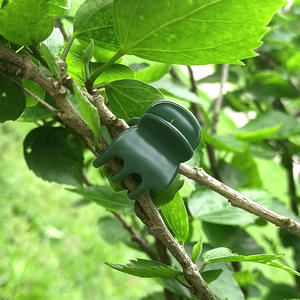 Clip de Fijación para Plantas de Plástico Modelo 036 para Orquídeas <span class=keywords><strong>Dendrobium</strong></span> y Plantas Trepadoras - Product Image 4