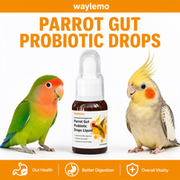Gouttes probiotiques pour l'estomac des perroquets Waylemo, compléments alimentaires liquides pour oiseaux, compléments nutritionnels pour animaux de compagnie, santé digestive, 30 ml