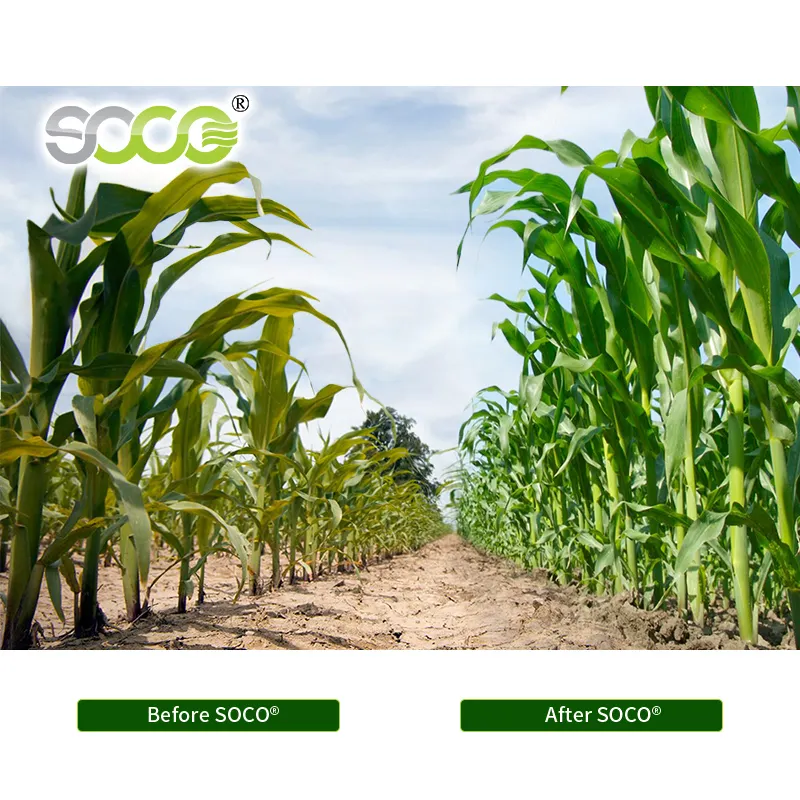 SOCO polimer potasyum poliakrilat tohum kaplama için tarım için