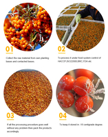 IQF Diepvries Zeebuckthorn Fruit, 100% Natuurlijk & Verfrissend, Bulkverpakking, Premium Kwaliteit, 10kg
