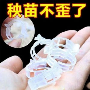 Plastic Plant Clips Transparent Crystal Clear For Vine <b>Support</b> Binding <b>Tomato</b> Cucumber Gardening Use - Product Image 4